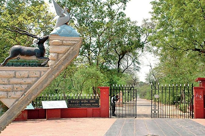 Private Keoladeo National Park Tour sightseeing - All Inclusive - Entering the Park by Rickshaw, and Why the Guide Matters