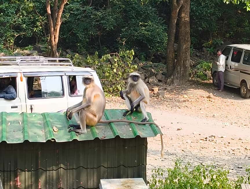 "Private Mumbai Kanheri Caves Tour : A Buddhist Settlement" - What to Bring, What Not to Do, and How to Stay Comfortable