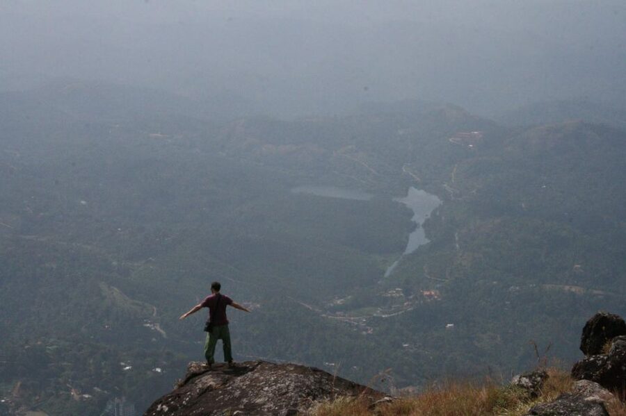 Private Munnar Tea Trek - Birds, wildlife, and nature zone moments (without overpromising)