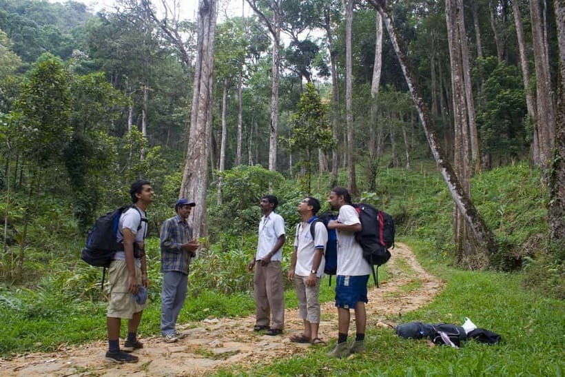 Private Munnar Tea Trek - Price and value at about $14 per person