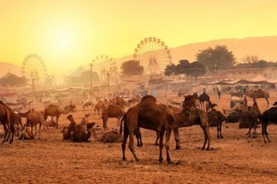 Private One Day Trip to Pushkar from Jaipur
