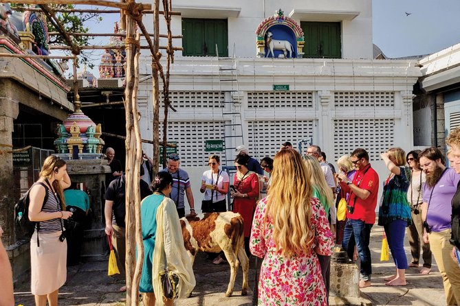 Private Peacock Trail Walking Tour in Mylapore - Why this Peacock Trail is a smart first stop in Chennai