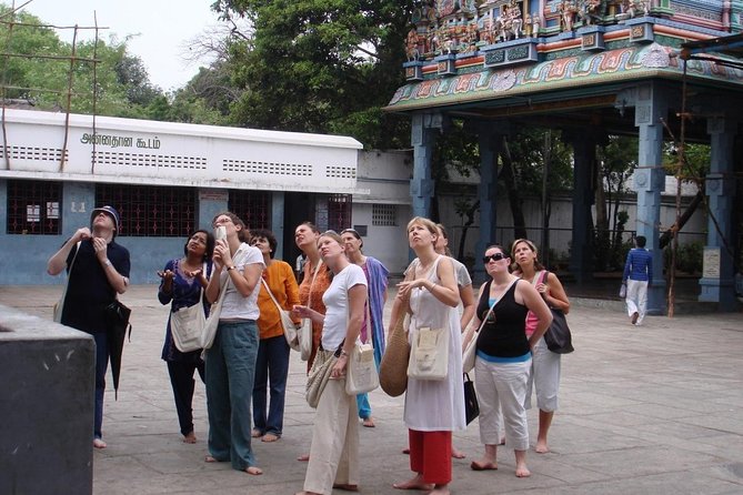 Private Peacock Trail Walking Tour in Mylapore - Meeting in Mylapore, and how the 3-hour pace really works