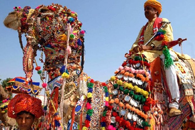 Private Same Day Trip to Pushkar from Jaipur - Private means your pace stays yours