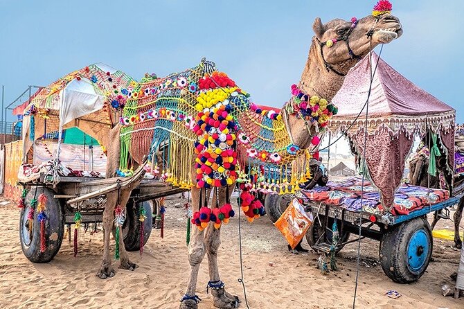 Private Same Day Trip to Pushkar from Jaipur - Brahma Temple: why this stop feels different