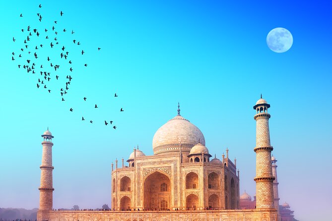The Taj Mahal at first light with birds over the dome