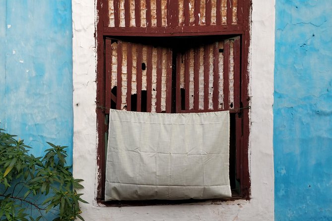 Private Tour of Fontainhas & Old Goa's Portuguese Heritage - Price and value: why $77 feels fair for what you get