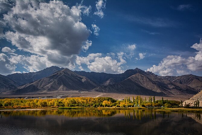 Private Tour of Ladakh for 6 Days - Day 1 in Leh airport to hotel: acclimatize, then sleep like a pro