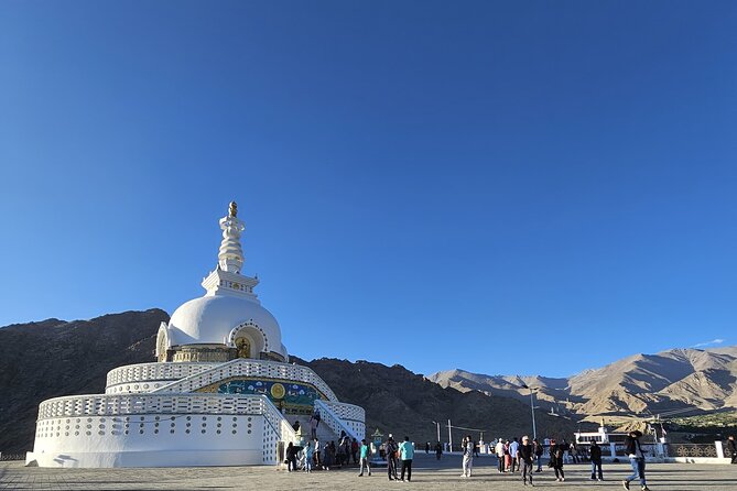 Private Tour of Ladakh for 6 Days - Who this tour is best for, and who might want a different plan