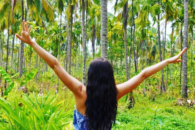 Private Tour to Goa and Dudhsagar Waterfalls with Lunch - Price and value: is $131 for 9 hours a good deal?