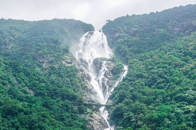 Private Tour to Goa and Dudhsagar Waterfalls with Lunch - Mollem National Park jeep safari: close to animals, closer to dirt