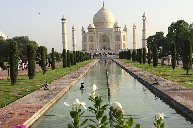 Private Transfer From Agra To Jaipur with Fatehpur Sikri - The car situation, group sizes, and comfort checks