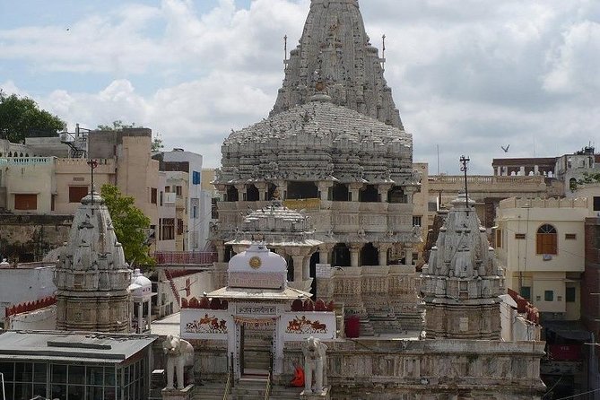 Private Udaipur Sightseeing Tour with Guide - Saheliyon ki Bari: Gardens of fountains, marble elephants, and shade