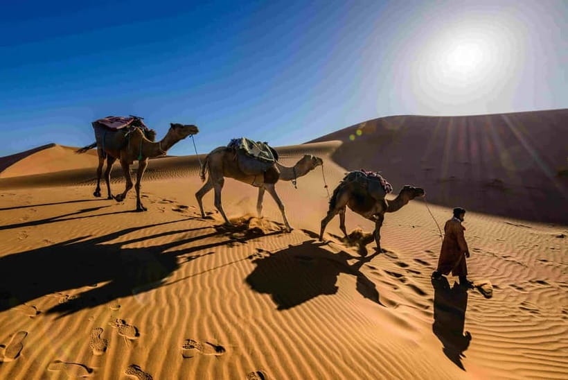 Pushkar: Camel Sunset Safari Adventure - What Makes It Special
