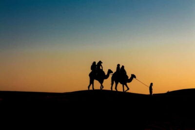 Pushkar: Camel Sunset Safari Adventure