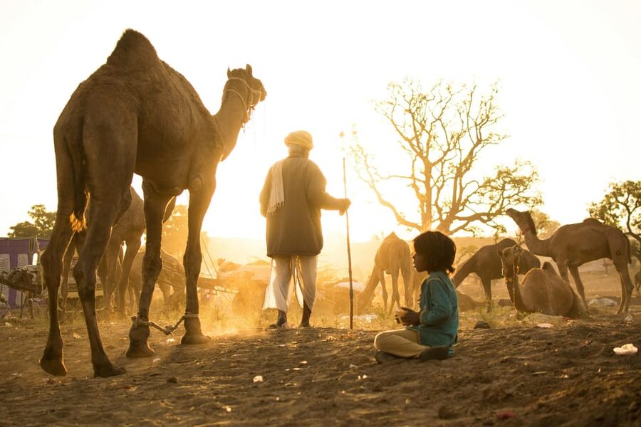 Pushkar: Camel Sunset Safari Adventure - The Early Part: City Stops and a Guided Preview
