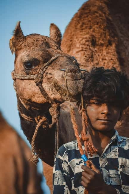 Pushkar: Camel Sunset Safari Adventure - The Vantage Points: Why the Dunes Beat a Straight Ride
