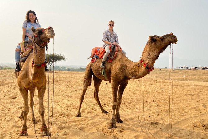 Pushkar Day Trip from Jaipur – Private Car, Safari, Guide & Lunch - Jaipur to Pushkar by private car, what you get for the money