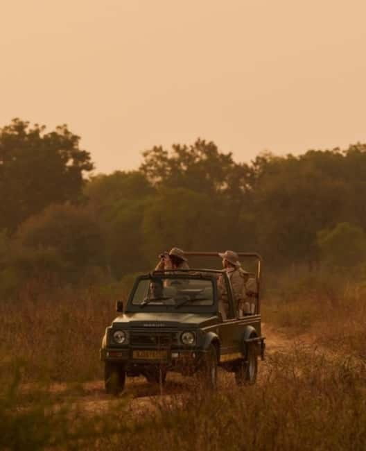 Ranthambhore: Ranthambhore Tiger Reserve Booking - Key things to know before you go