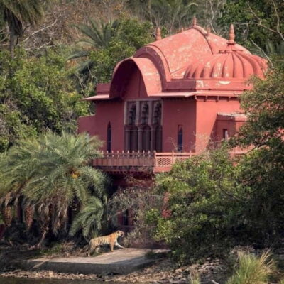 Ranthambhore: Ranthambhore Tiger Reserve Booking