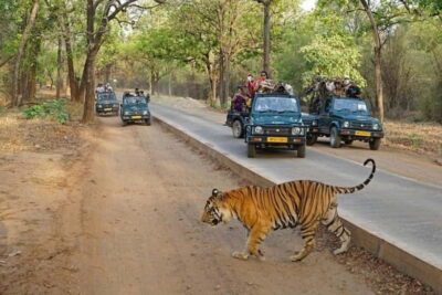 Ranthambore National Park: Jeep Safari from Sawai Madhopur
