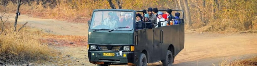 Ranthambore National Park: Safari Ticket with Pickup Option - Who this safari is for, and who should pick a different style