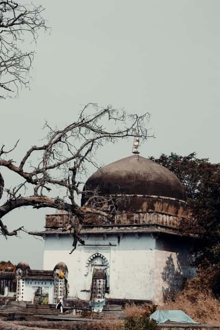 Ranthambore National Park: Safari Ticket with Pickup Option - Bring binoculars and wear neutral colors: your photo and comfort checklist