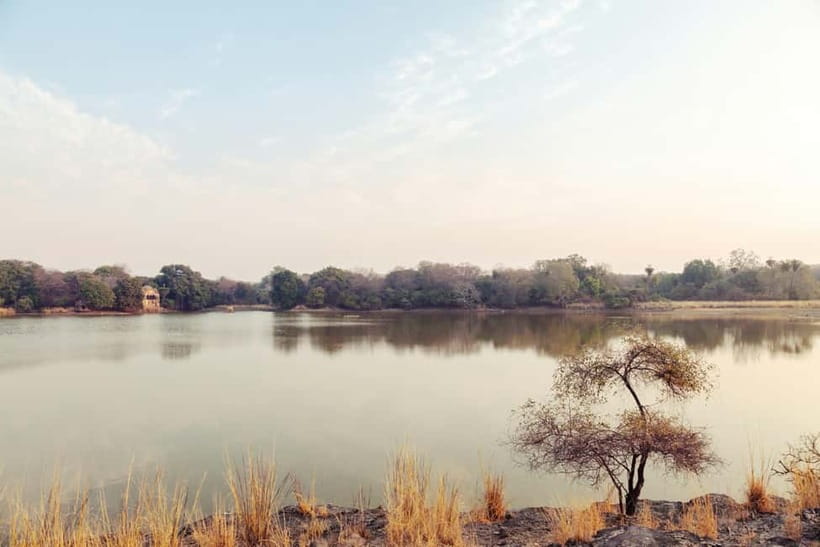 Ranthambore National Park: Safari Ticket with Pickup Option - Price and value: what you’re paying for at about $27 per person