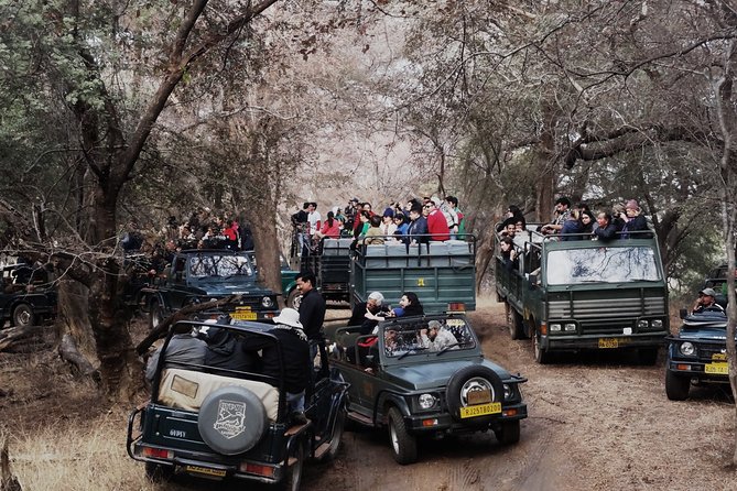 Ranthambore: Sharing Safari In Canter Or Gypsy Vehicle All Incl. - Price and What You Actually Get for Around $44.73