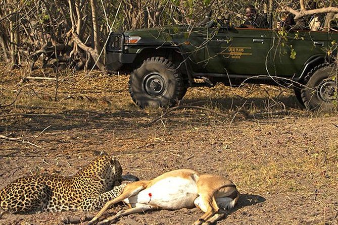 Safari In Jhalana Leopard Conservation Reserve, Jaipur - Entering the Jhalana Leopard Safari, Right in Jaipur