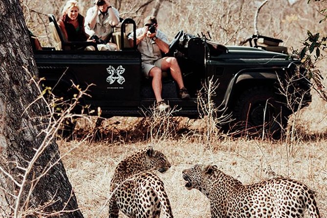 Safari In Jhalana Leopard Conservation Reserve, Jaipur - Wildlife and Birds You Can Actually Look For