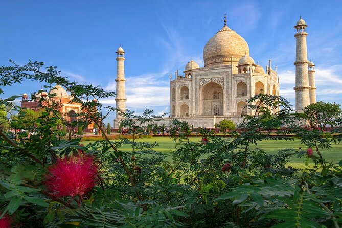 Same Day Taj Mahal Tour from Delhi - Price and value: what $60 gets you in a real sense