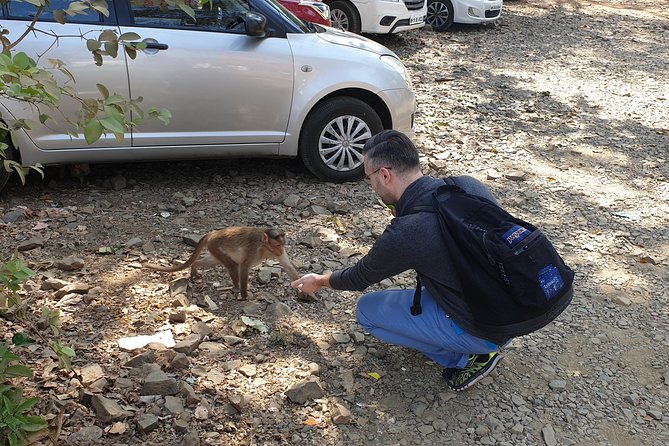 Sanjay Gandhi National Park(SGNP) + Kenheri Caves + Lion Safari + Jain Temple - Trimurti Digambar Jain Mandir: a short forest temple stop with a different mood