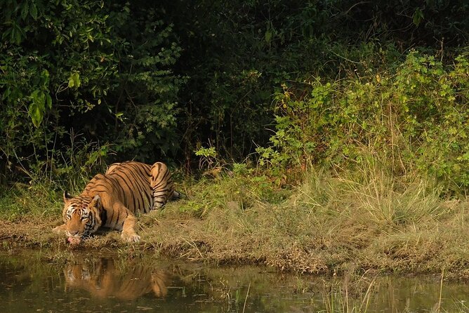 Sariska Tiger Reserve Assistance for Gypsy Private Safari Tickets - Transfers and road time: plan for the travel day