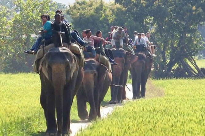 Sariska Tiger Reserve Safari tour from Jaipur - Sariska Tiger Reserve: the habitats that make birding so strong