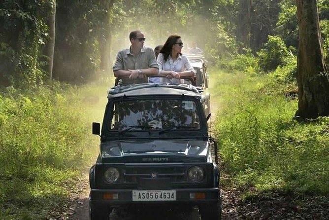 Sariska Tiger Reserve Safari tour from Jaipur - Jeep vs canter: the ride that changes everything