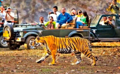 Sawai Madhopur: Ranthambore National Park Guided Jeep Safari