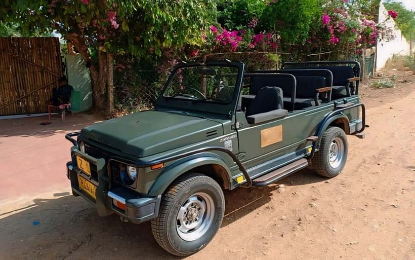 Sawai Madhopur: Ranthambore National Park Guided Jeep Safari - Animals you can realistically hope to see
