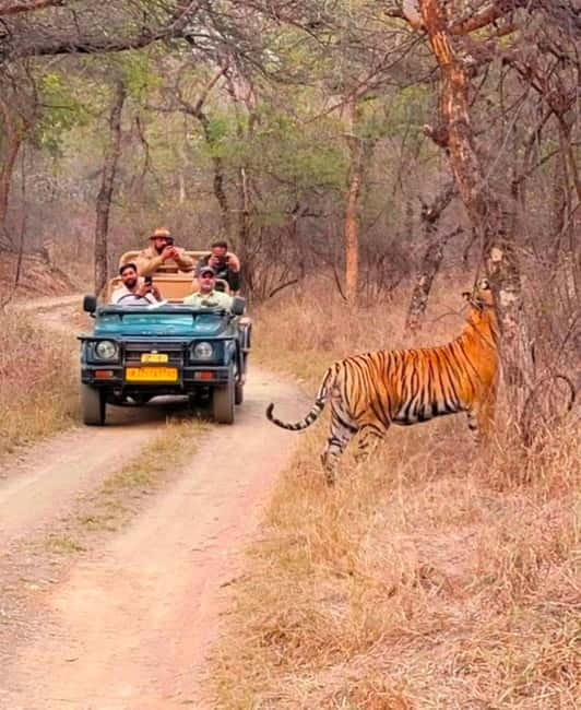 Sawai Madhopur: Ranthambore National Park Guided Jeep Safari - Photo opportunities without losing your focus