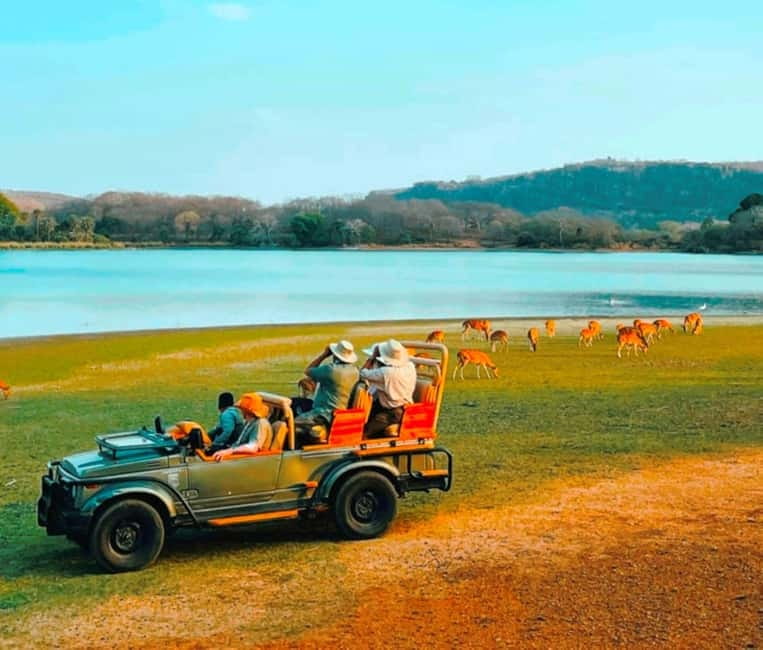 Sawai Madhopur: Ranthambore National Park Guided Jeep Safari - Vehicle comfort: jeep vs canter, and why it affects your day