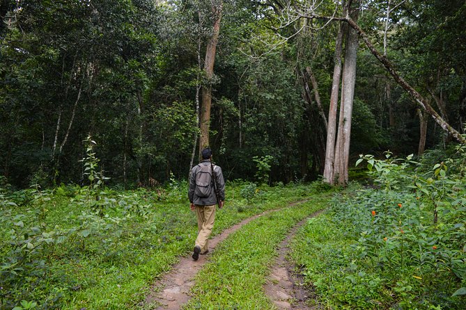 Scenic Kerala : Hills, Wildlife, Backwaters & Beach Bliss- 7 Days - Alleppey backwaters on a private houseboat: how the schedule actually feels