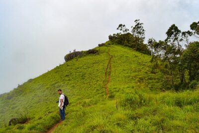 Scenic Kerala : Hills, Wildlife, Backwaters & Beach Bliss- 7 Days