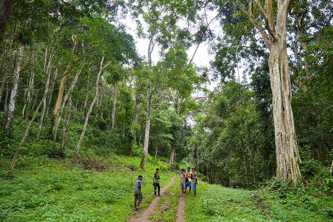 Scenic Kerala : Hills, Wildlife, Backwaters & Beach Bliss- 7 Days - Price and value: what $891.93 per group gets you, and what it doesn’t
