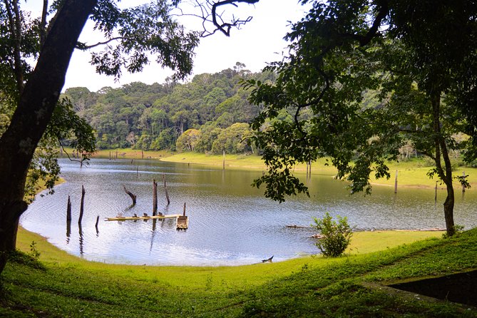 Scenic Kerala : Hills, Wildlife, Backwaters & Beach Bliss- 7 Days - Logistics that make the trip feel easier: private driving, mobile tickets, and Mr Sreekumar