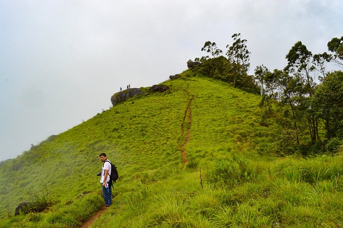 Scenic Kerala : Hills, Wildlife, Backwaters & Beach Bliss- 7 Days - Periyar by way of spices: ayurvedic plants and a wildlife-focused lake cruise