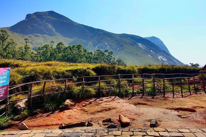 Serene Munnar Retreat: Private Tour from Kochi to the Munnar Hill - 7:00 am Pickup, 12 to 13 Hours on the Road
