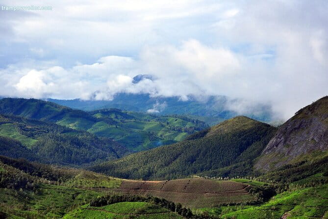 Serene Munnar Retreat: Private Tour from Kochi to the Munnar Hill - Tea Museum + Tea Gardens: How Munnar Became Tea Country
