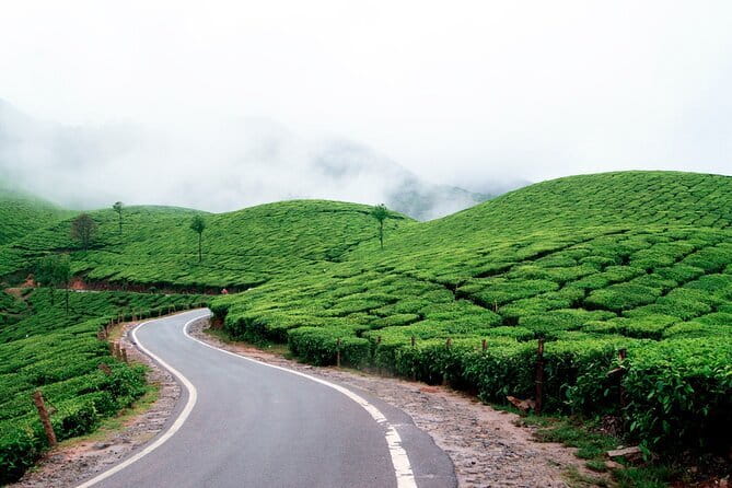 Serene Munnar Retreat: Private Tour from Kochi to the Munnar Hill - Driver and Guide Storytelling That Makes the Long Day Go Faster