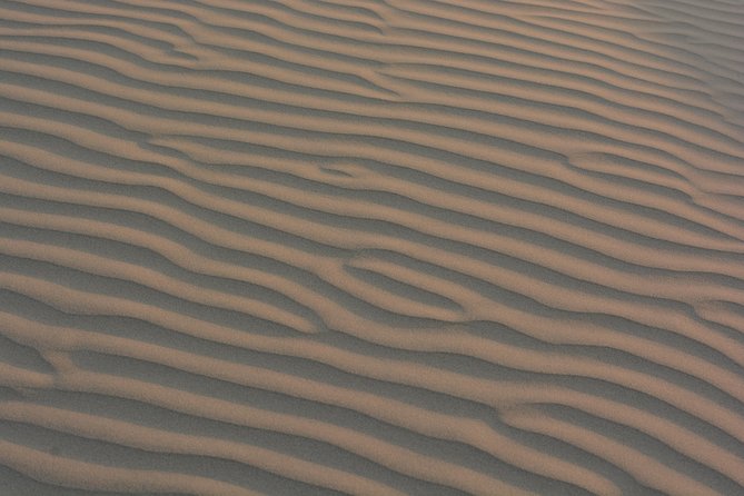 Shahi Half day non touristic sand dune camel safari with dinner - Quick, Noteworthy Details