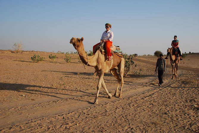 Shahi Half day non touristic sand dune camel safari with dinner - From Shahi Palace Hotel to the Desert, Without Wasting Hours